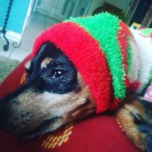 Meet your Posher, Goldia